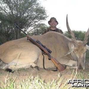 Hunting Safari in Limpopo, South Africa - Eland