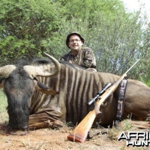Hunting Safari in Limpopo, South Africa - Wildebeest