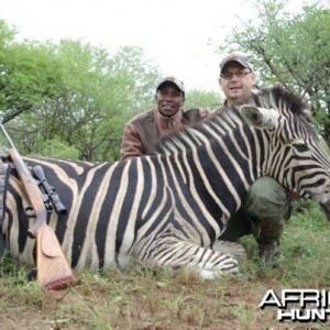 Hunting Safari in Limpopo, South Africa - Zebra