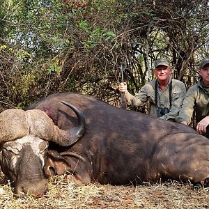 Hunting Cape Buffalo in Tanzania