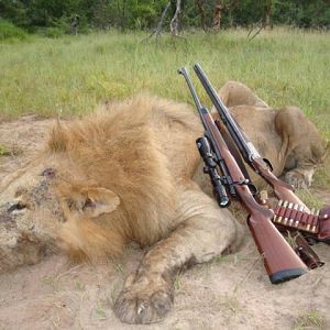 Tanzania Lion Hunt