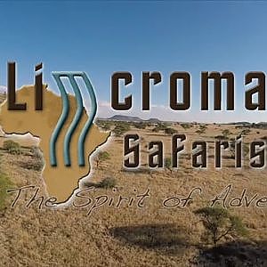 Experience Limcroma Safaris