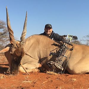 Bow Hunt South Africa Eland