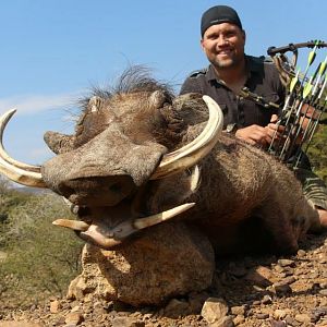 Bow Hunting Warthog South Africa