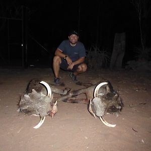 Bow Hunting Warthog South Africa