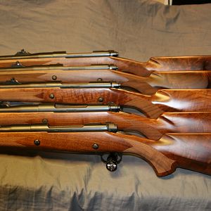 Winchester Safari Classic BIG 5 Set