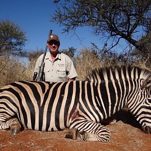 South Africa Burchell's Plain Zebra Hunt