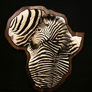 Shield Damaske Hartmann Mountain Zebra