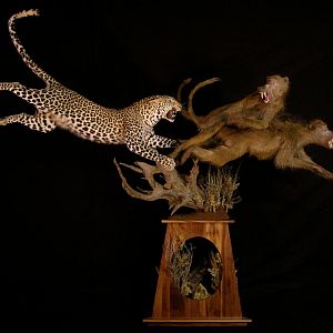 Leopard & Baboons Taxidermy Scene