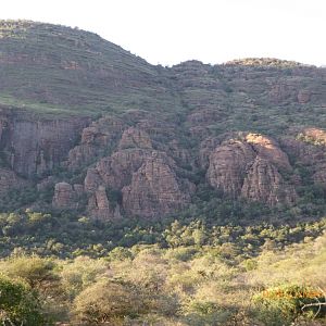 Limpopo landscape