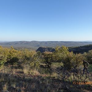 Limpopo landscape