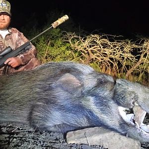 South Africa Bushpig Hunt