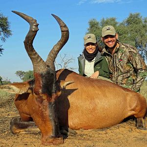 Red Hartebeest Hunting in South Africa