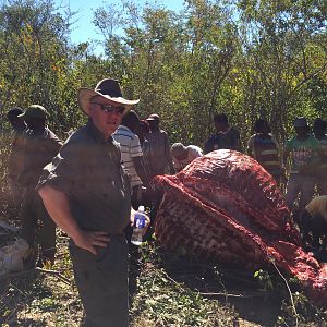 Elephant Hunt Zimbabwe