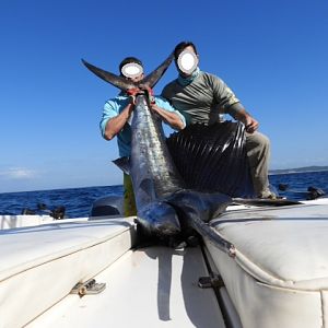 Fishing Sailfish
