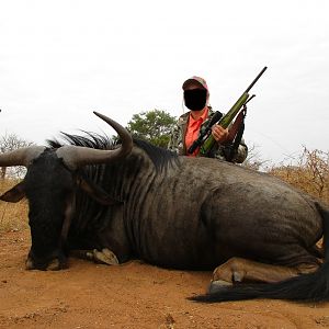 Blue Wildebeest Hunt in South Africa