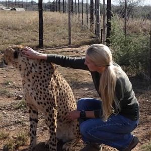 South Africa Cheetah