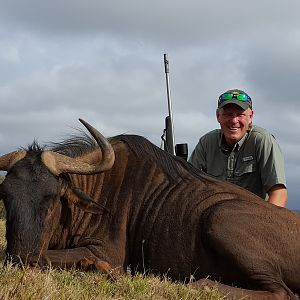 Blue Wildebeest Hunting in South Africa