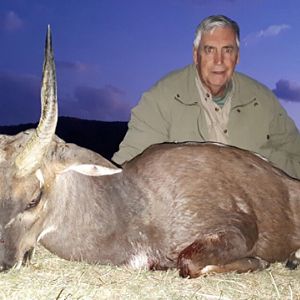 South Africa Hunting Bushbuck