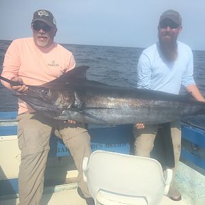 Fishing Cabo San Lucas Blue Marlin