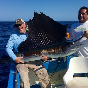 Fishing Sailfish Cabo San Lucas