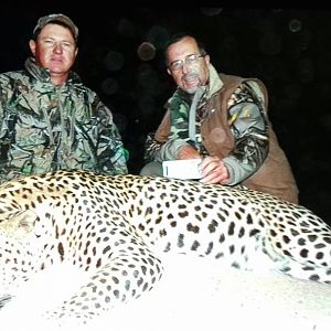 Monster Leopard hunted in Namibia at Westfalen