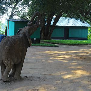 Hunting Sengwe 2 Zimbabwe Accommodation