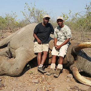 Zimbabwe Hunt Elephant