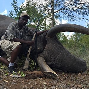 Zimbabwe Elephant Hunting