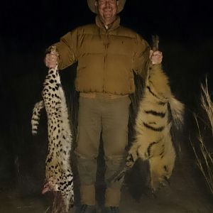 Hunting Serval Cat & Aardwolf South Africa