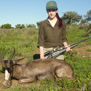 South Africa Black Springbok Hunting