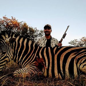 Burchell's Plain Zebra South Africa Cull Hunting