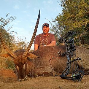 Bow Hunting Waterbuck in South Africa