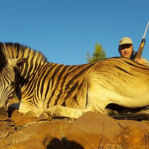 South Africa Burchell's Plain Zebra Hunt