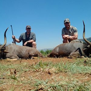 Hunting 29" & 31" Inch Nyala South Africa