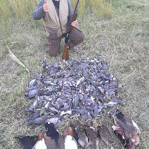 Wing Shooting in South Africa