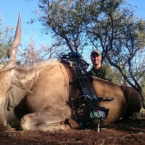Bow Hunting Eland South Africa