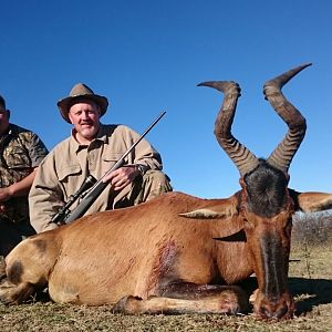 Red Hartebeest Hunting in South Africa