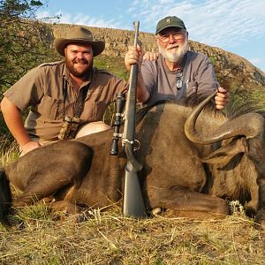 Blue Wildebeest Hunting in South Africa