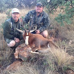 South Africa Blesbok Cull Hunt