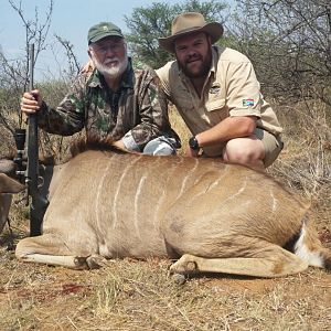 Female Kudu Cull Hunt in South Africa