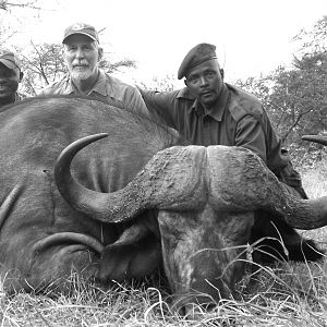 Hunting Buffalo in Tanzania