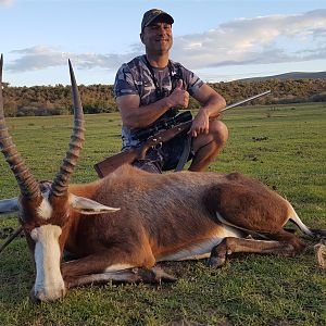 South Africa Blesbok Hunt