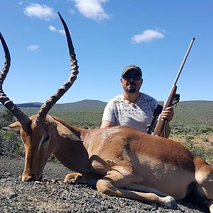 Hunting South Africa Impala