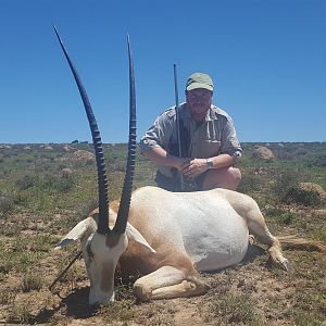 Scimitar Oryx Hunt South Africa