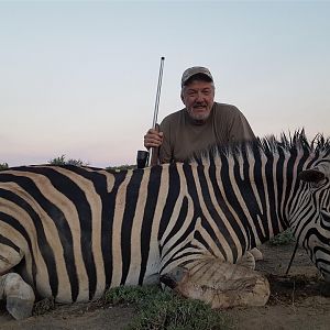 South Africa Burchell's Plain Zebra Hunt