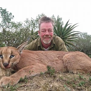 Caracal Hunt South Africa