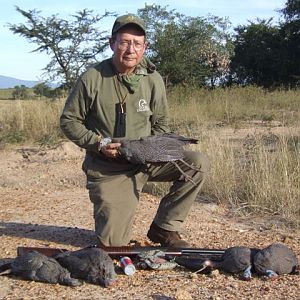 Bird Hunting South Africa Guineafowl
