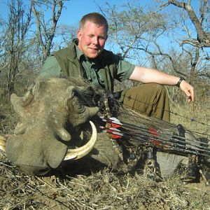 Bow Hunt Warthog