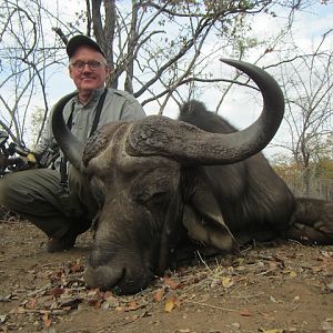 Cape Buffalo Bow Hunt
